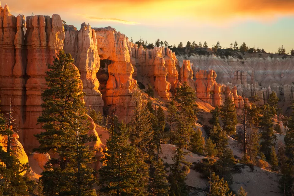 Stone hoodoos at Bryce Canyon National Park, Utah at golden hour.